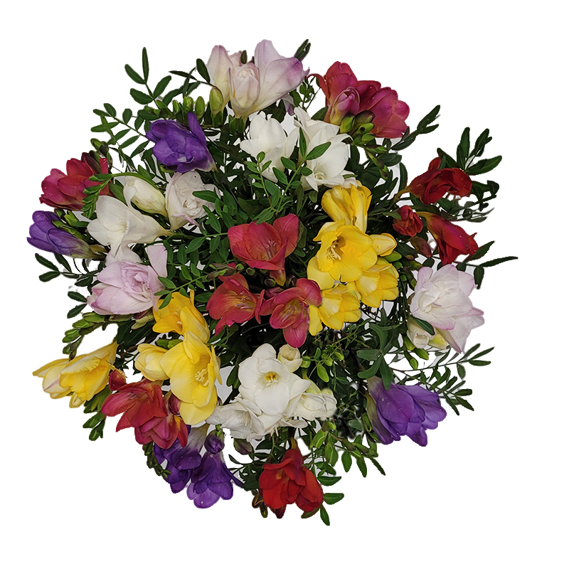 FloraTrans